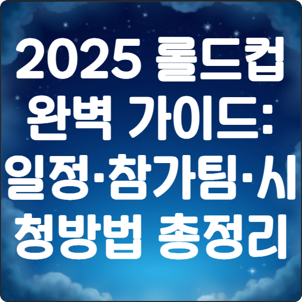 2025 로드컵 완벽가이드