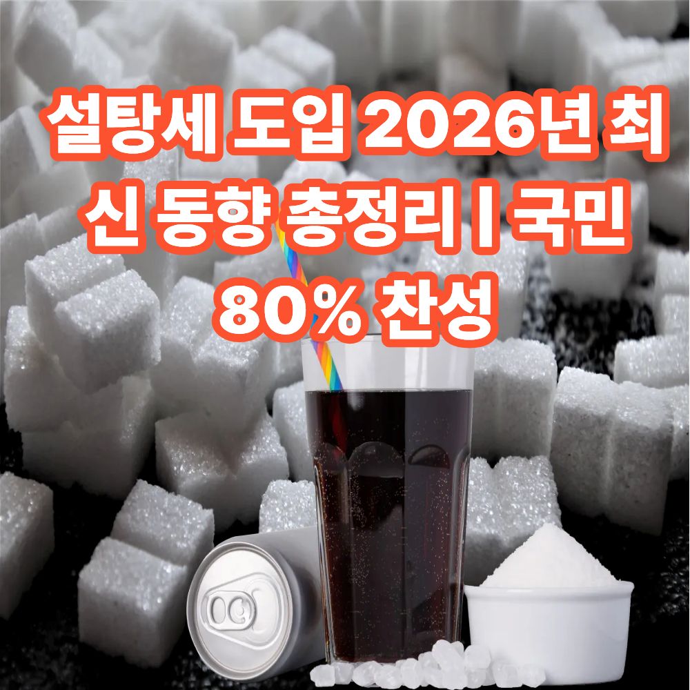 설탕세 도입 2026년 최신 동향 총정리 | 국민 80% 찬성
