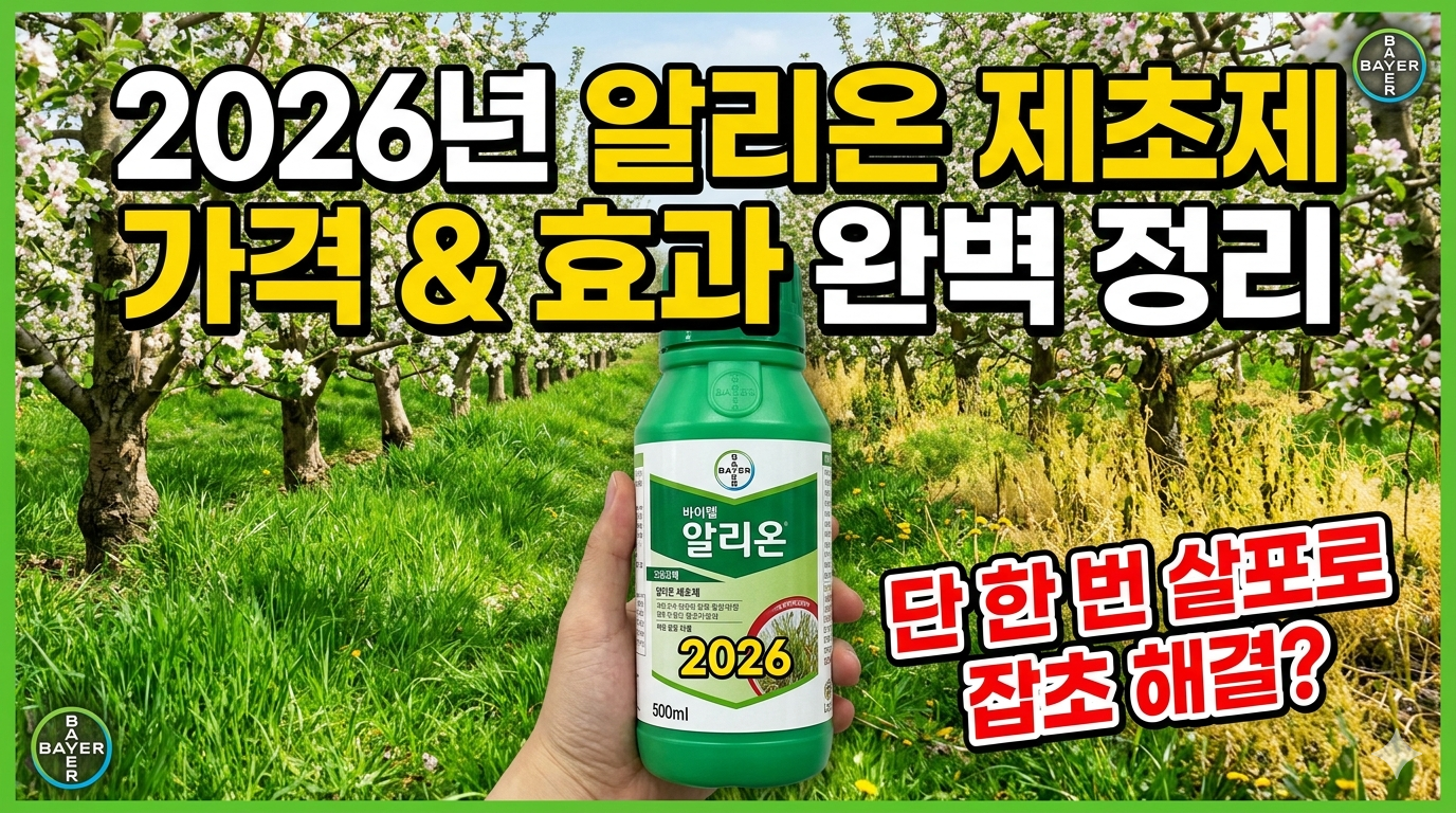 2026EB8584 EC958CEBA6ACEC98A8 ECA09CECB488ECA09C EAB080EAB2A9 EBB08F ED9AA8EAB3BC EC9984EBB2BD ECA095EBA6AC EB8BA8 ED959C EBB288 EC82B4ED8FACEBA19C EC9EA1ECB488 ED95B4EAB2B0