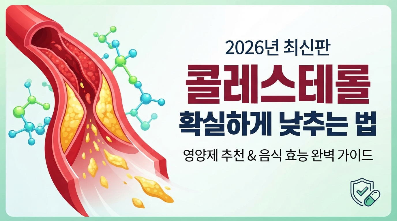 콜레스테롤 낮추는 영양제 추천 TOP 4 및 음식 효능 총정리 (2026 최신)