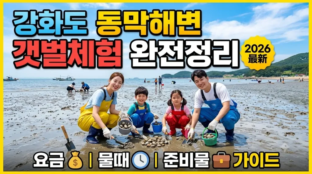 강화도 동막해변 갯벌체험 완전정리 2026  요금·물때·준비물 가이드
